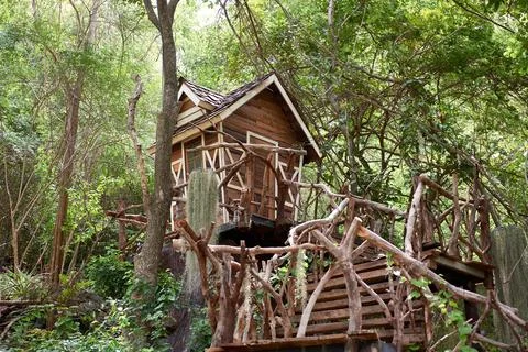 Treehouse in Forest Sanctuary Stock Photos