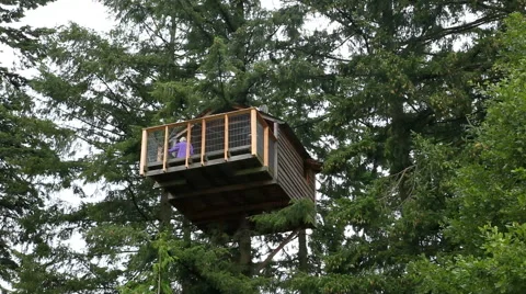 Treehouse high above in the forest Stock-Footage 41763092