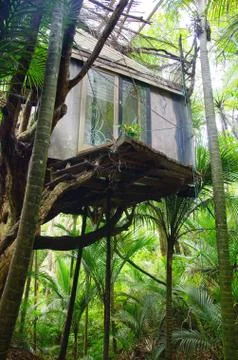Treehouse in the jungle Stock Photos