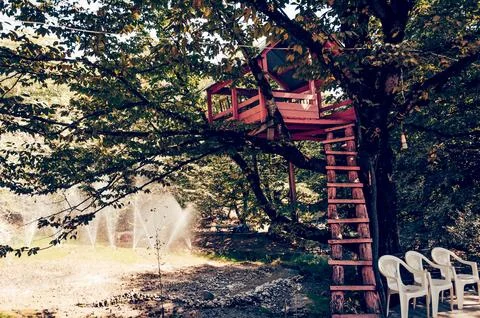 Treehouse perched in backyard tree where kids can create their own world, inv Foto stock