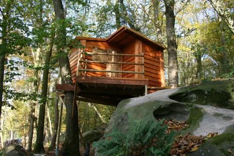 Treehouse Stock Photos