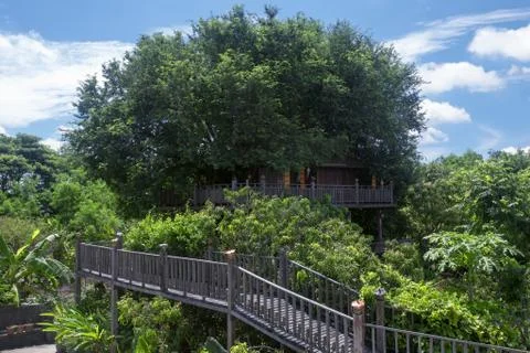 Treehouse in rural Stock Photos