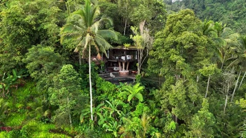 Treehouse Style Villa Hidden in Dense Jungle with Infinity Pool in Bali Smooth Stock Footage 334623952