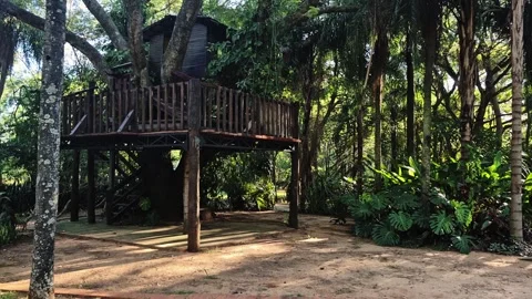 Treehouse in tropical forest surrounded by lush greenery slow pan 4K 스톡 동영상 329337291