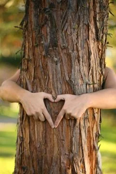 Treehugger Stock Photos