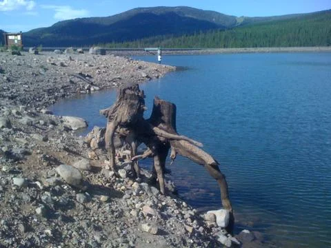 Treehuggers 스톡 사진