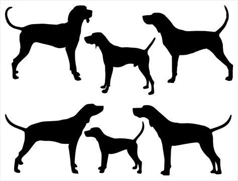 TREEING WALKER DOG SILHOUETTE VECTOR ART Stock Illustration