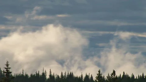 Treeline Cloudlapse Stock Footage 8510644