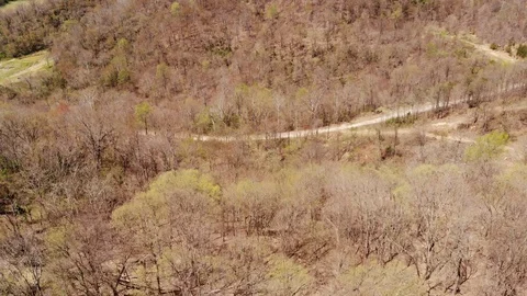 Treeline Stock Footage 88786268