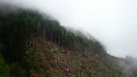 Treeline on a mountainside from Logging work - Deforestation Video stock 156366677
