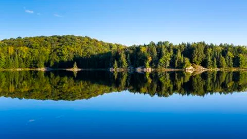 Treeline Stock-Fotos