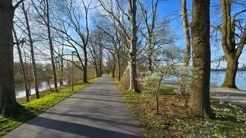 A treelined path through grass leads to a serene body of water Maschsee Hanover Stock Photos