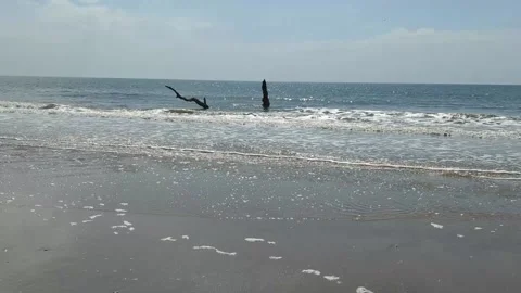 Treen in the Ocean Vidéo 175533172