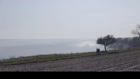 TreeOnCliff 4 Aerial 4K  Static Ungraded Stock-Footage 127721538