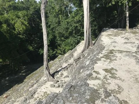 Treeonpyramid Stock Photos