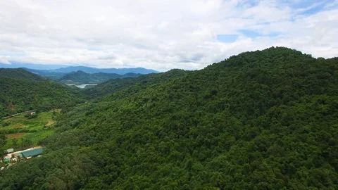 Trees 3 Stock Footage 91251708