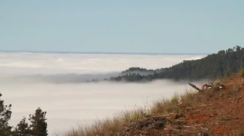 Trees Above The Clouds Stock Footage 11336816