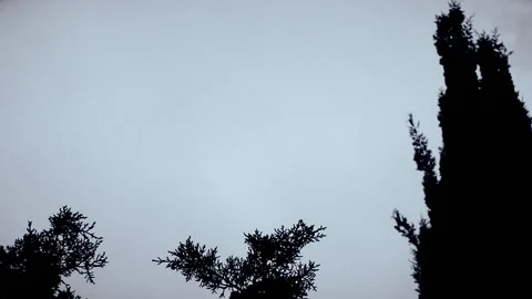 Trees above the Sky Video stock 130943679