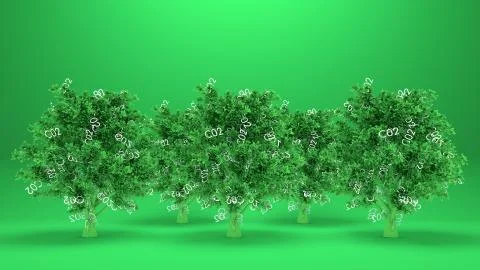 Trees absorbs co2 or Trees absorb carbon dioxide Stock Illustration