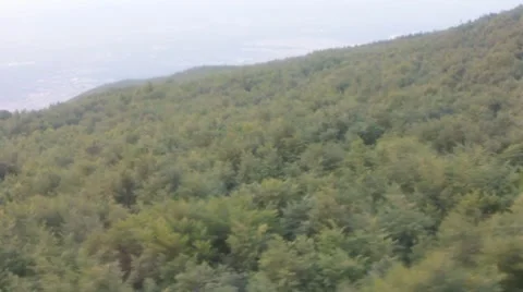 Trees aerial shooting 3 Video stock 8528186