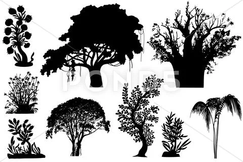 Trees of africa Stock Illustration