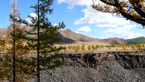 Trees against the backdrop of a rocky slope on the bank of a Mongolian river. Stock Footage 285183450
