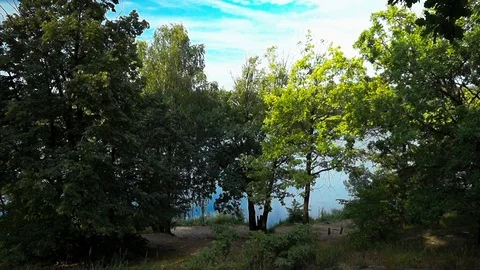 Trees against the background of lake and sand 스톡 동영상 93036617