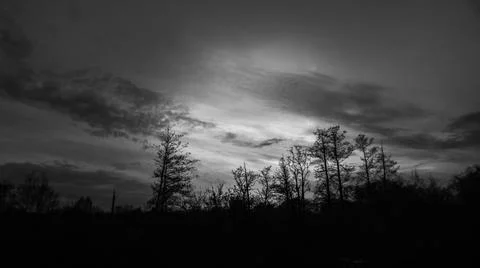 Trees against clouds at dusk Stock Photos