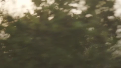 Trees against the sunlight 動画素材 127524618