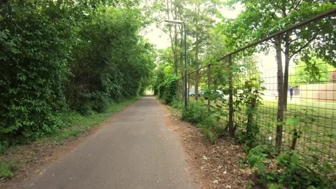 Trees on the air, walking under the amazing trees, fresh air, picturesque nat Stock Footage 130819802