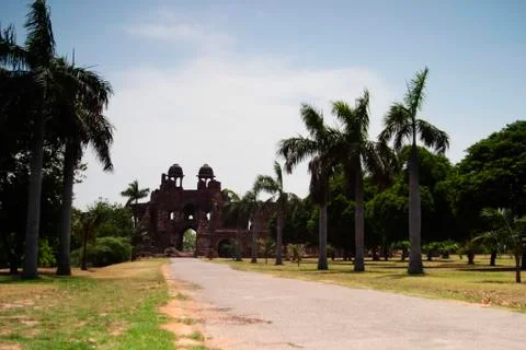 Trees along a path in a fort, Old Fort, Delhi, India 스톡 사진