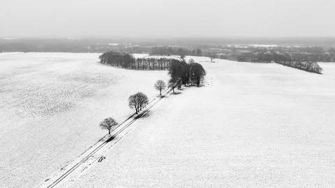 Trees along a sandy path in a winter landscape, aerial photo Stock Photos