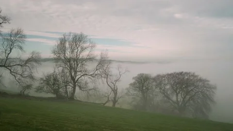 Trees among fields in misty English landscape Stock Footage 168748078