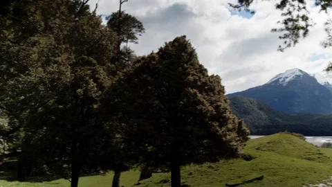 Trees and alpine mountains, panning camera move Stock Footage 89573018