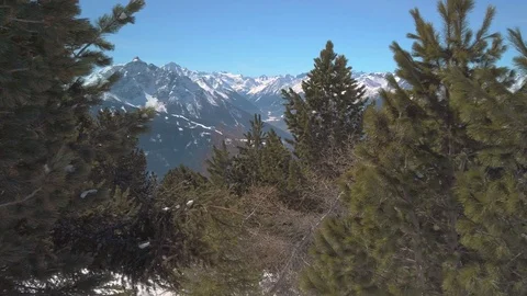 Trees and Alps Mountain View Video stock 105283899