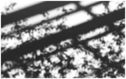 Trees and architectural elements soft shadows Stockillustratie