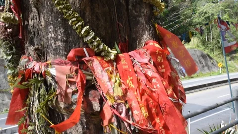 Trees and beliefs in Thailandy Stock Footage 129694210