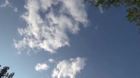 Trees and a bench in the Park Video stock 80029576