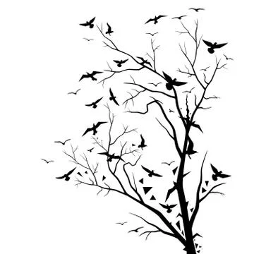 Trees and Birds Stock Illustration