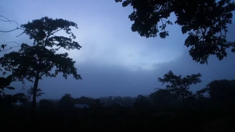 Trees and blue sky at evening Stock Footage 77451321