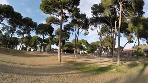 Trees and blue sky in the park on a sunny day 스톡 동영상 47967557