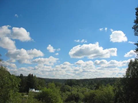 Trees and blue sky Stock Photos