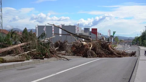 Trees and branches washed up on a broken bridge in Domžale Stock Footage 247502268