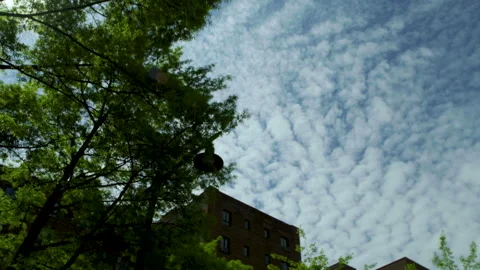 Trees and Brick Building with Clouds in Sky Stock Footage 277423500