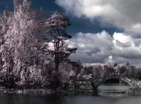 Trees and the bridge are reflected in the river, an infrared photo Stock Photos