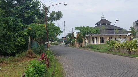 Trees and Building Stock Footage 301418795