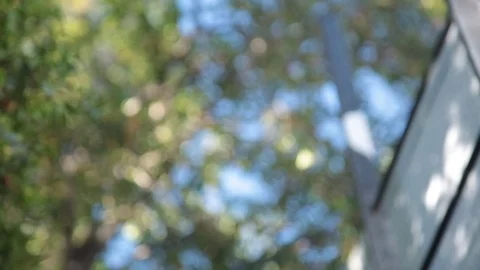 Trees and building out of focus Video stock 78771315