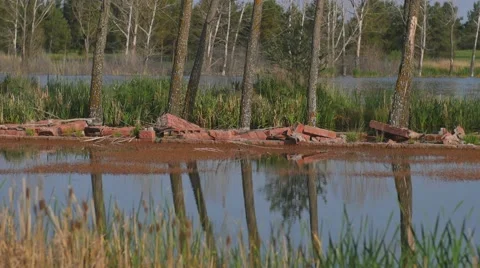 Trees and Building Rubble next to a Lake Stock Footage 53232800