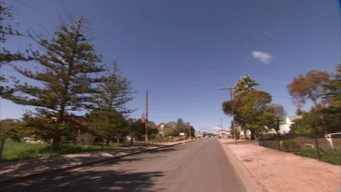 Trees and a building shot Stock-Footage 85184707