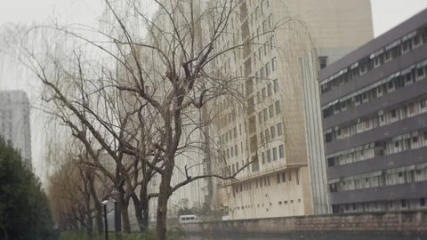 Trees and buildings on both sides of a small river in Shanghai in winter Stock Footage 166361520